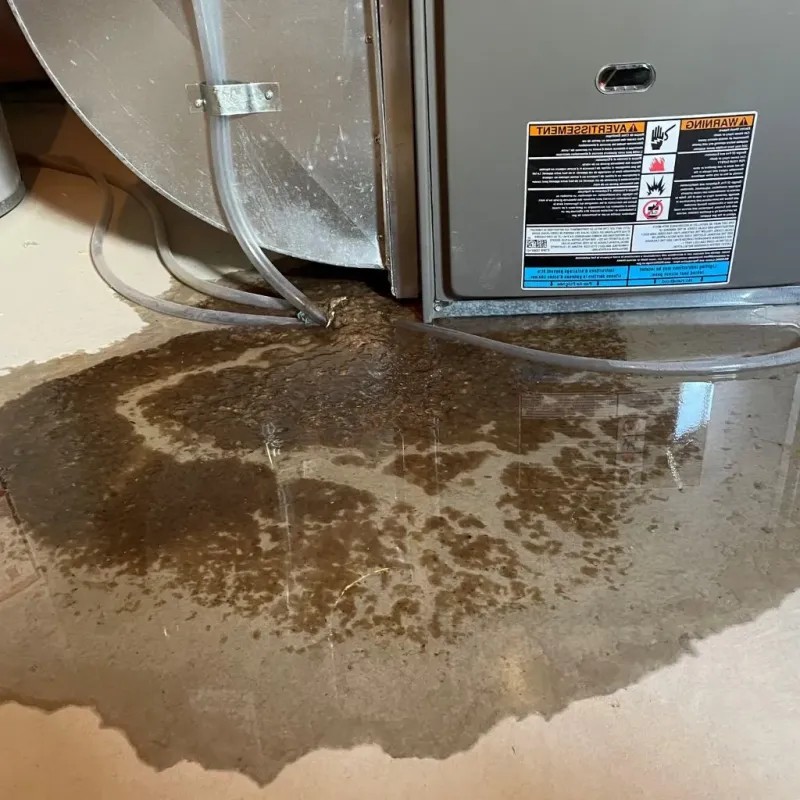 Pipe Burst and Leak Restoration in Wolfe County, KY