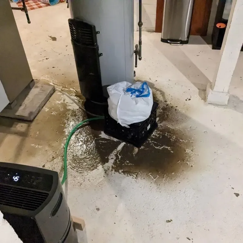 Sewage Backup Cleanup Service in Wolfe County, KY